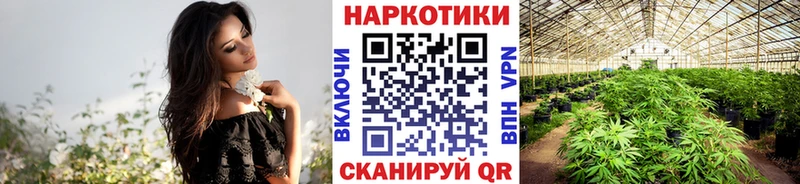 Хочу наркоту Тайшет A PVP  Амфетамин  МАРИХУАНА  БУТИРАТ  ГАШ  Галлюциногенные грибы 