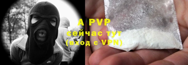 Альфа ПВП Пересвет