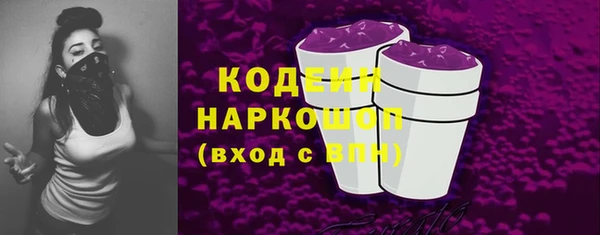 Альфа ПВП Пересвет