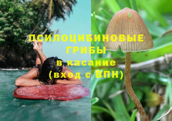 крисы Переславль-Залесский