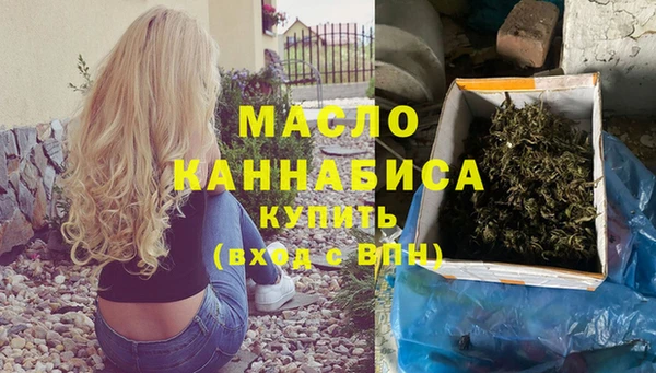 Альфа ПВП Пересвет