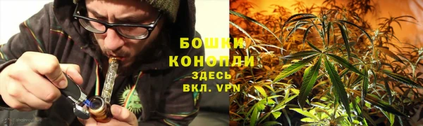 крисы Переславль-Залесский