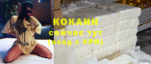 Альфа ПВП Пересвет