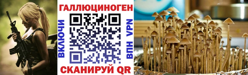Галлюциногенные грибы Psilocybine cubensis  Тайшет 