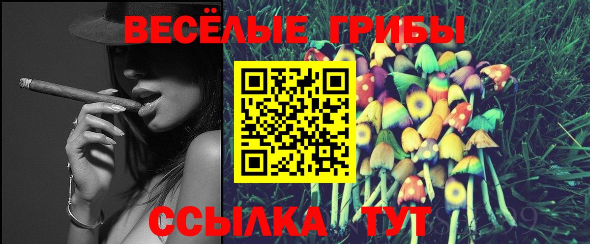 Псилоцибиновые грибы прущие грибы Тайшет