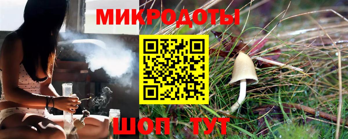 Псилоцибиновые грибы мицелий  Галлюциногенные грибы мицелий  Тайшет  Вход с VPN 