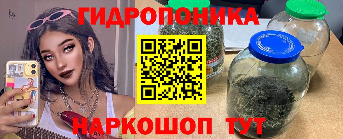 Бошки Шишки марихуана  Вход с VPN  Бошки марихуана конопля  Тайшет  Шишки марихуана ГИДРОПОН 